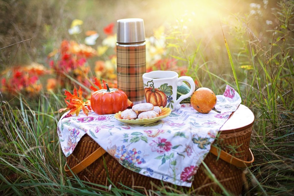 #Picknick #idyllisch #Herbst