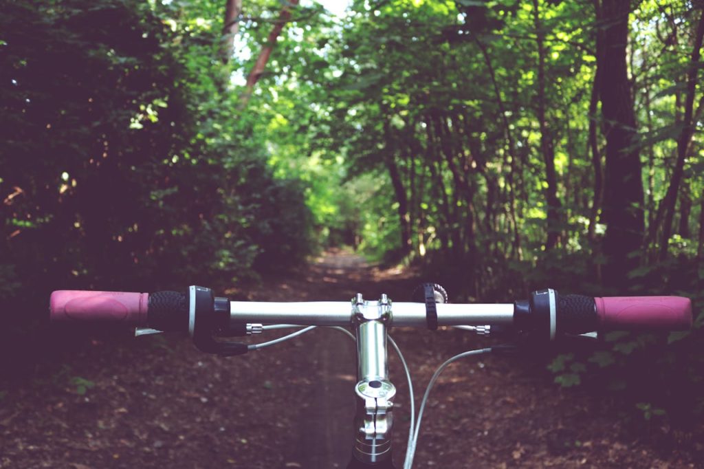 #Fahrrad #Wald #Ausflug