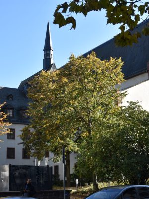 #Karmeliterkloster