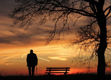 #Sonnenuntergang # Bank #Baum